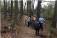 Volunteers get to work digging holes for saplings.
