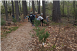 Volunteers move down the trail as they work.