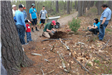 A staff member shows how to plant a tree.