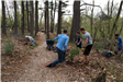 Volunteers plant pine saplings.