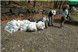 Bags of trash that have been collected