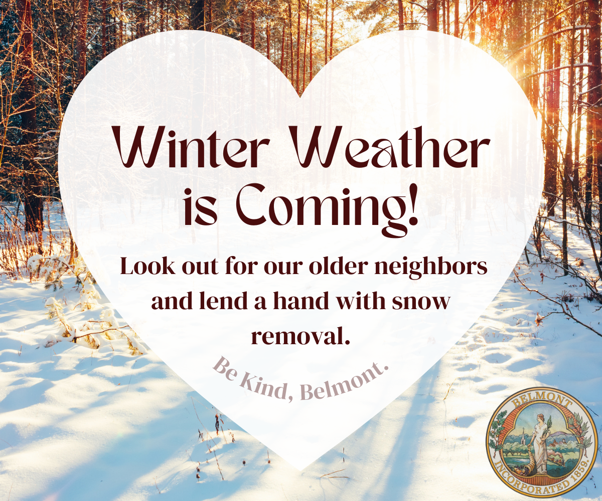 Look Out For Neighbors Winter Snow NF Cover (1200 x 1000 px)