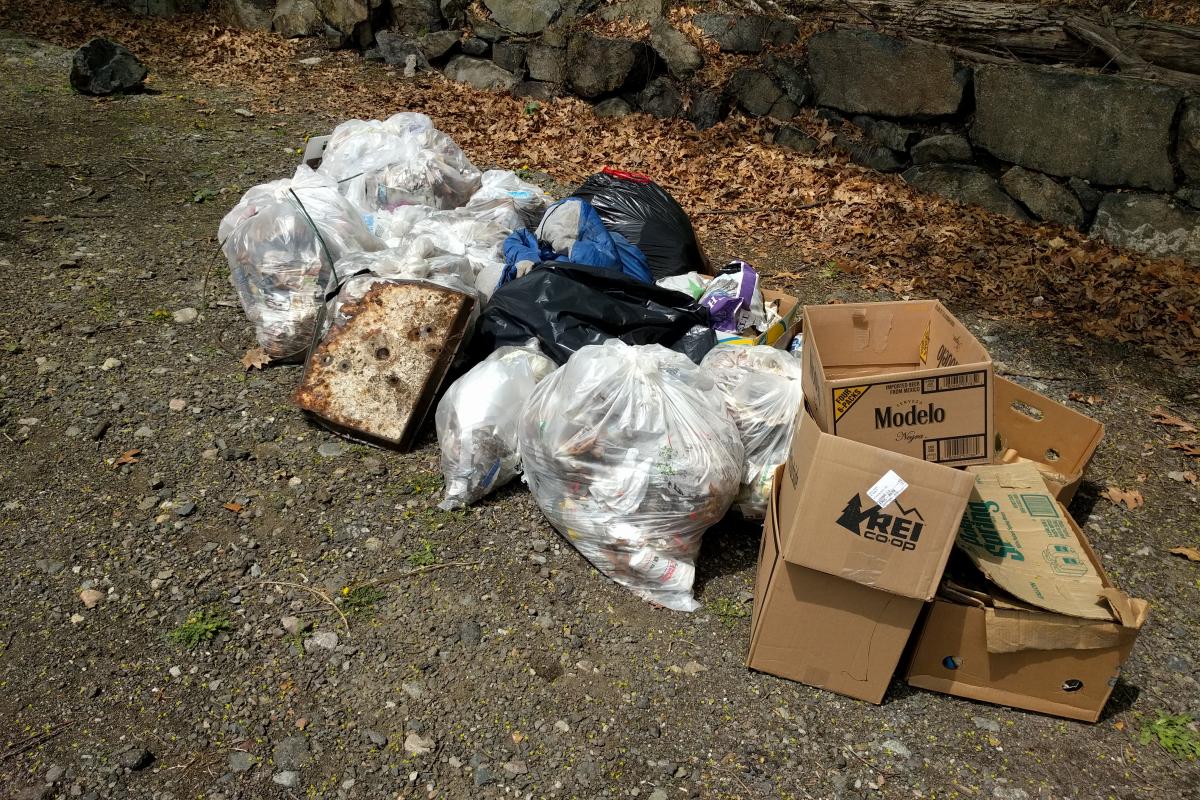 Trash collected from the woods