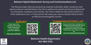Belmont Opioid Abatement Survey