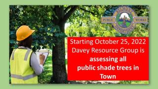 Public Shade Tree Assessment 