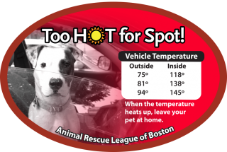 Too HOT for Spot Campaign