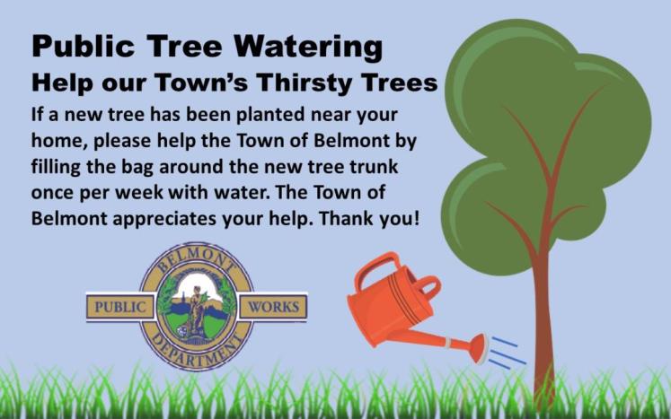 Public Tree Watering 