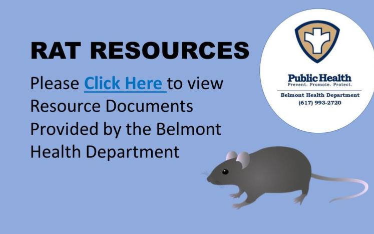 Belmont Rat Guidance - New Resources From The Belmont Health Department 
