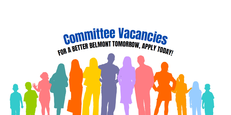 Committee Vacancies - 2024